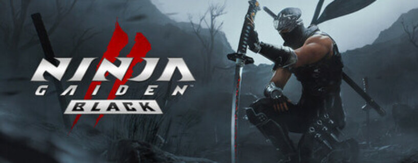 NINJA GAIDEN 2 Black PC Game Free Download