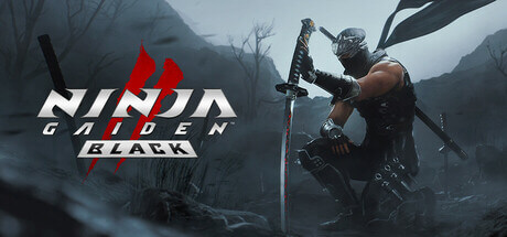 NINJA GAIDEN 2 Black PC Game Free Download